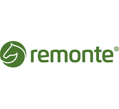 Remonte Shoes main logo