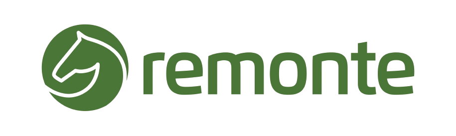 Remonte Shoes main logo